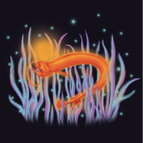 Deep Sea Dragon Fish