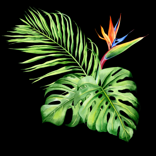 Bird of Paradise Bouquet