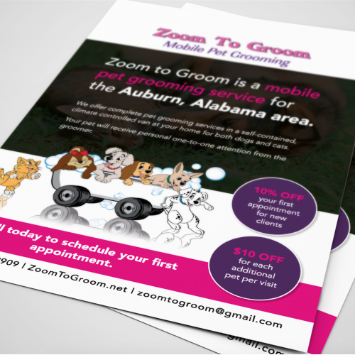 Magazine Ad and Flyer thumb