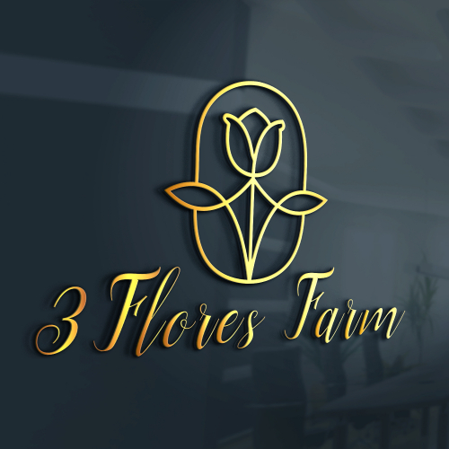 I will design a very professional logo for your busines