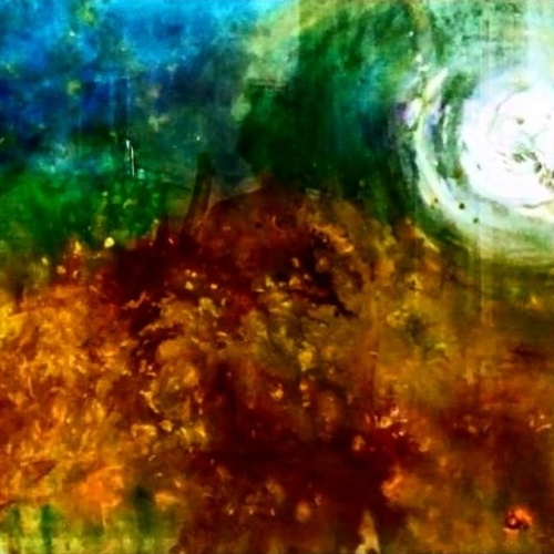 The Sunflower Field