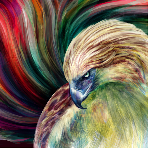 Philippine eagle