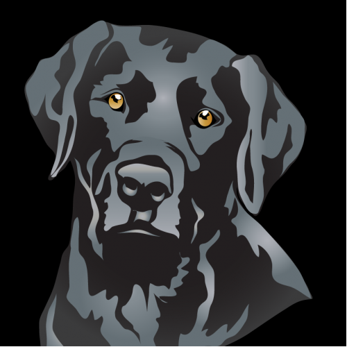Black Lab