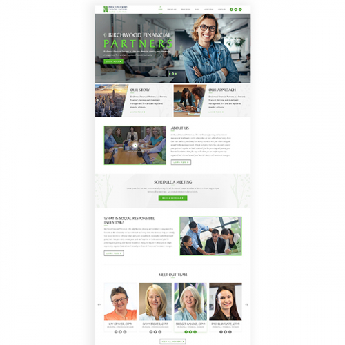 Website design for company