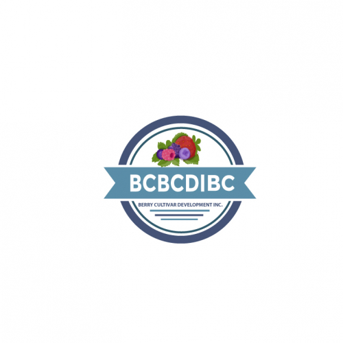 fresh fruit and berries