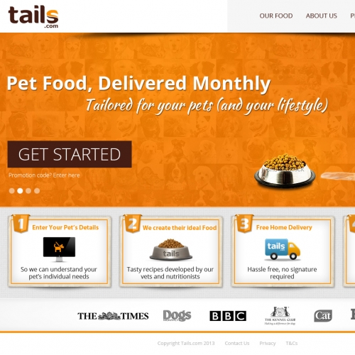 Dog Food Website thumb