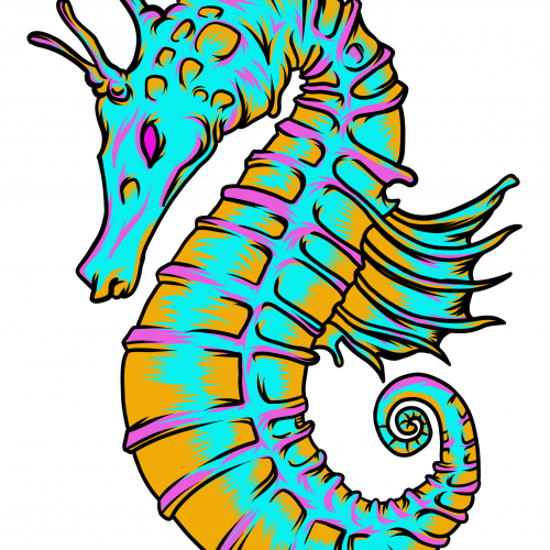 Seahorse Figure With Unique Style and Full Colour thumb