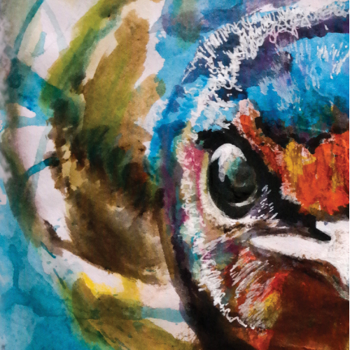 The Bird