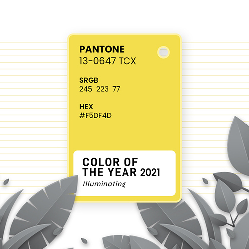 Color - Social Media Post