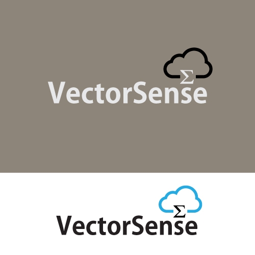 Vectorsense - IT company