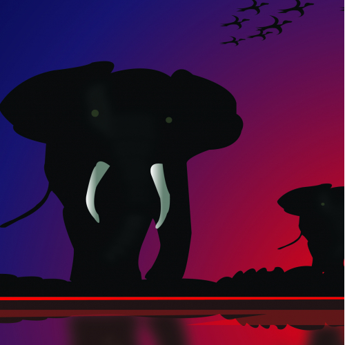 AFRICAN  ELEPHANTS  AT  DUSK