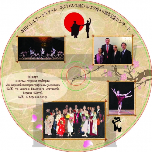 DVD disk design