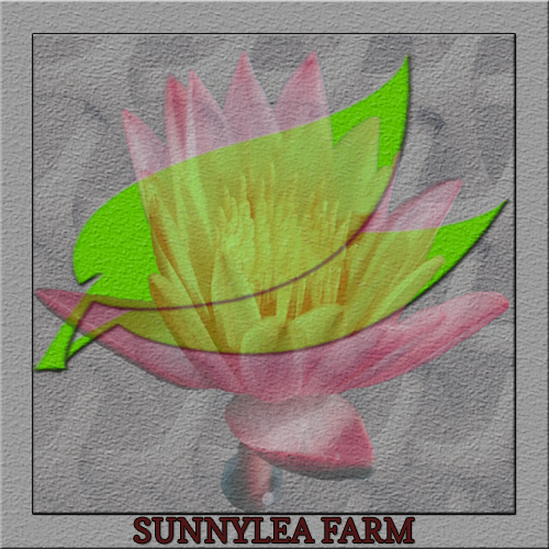 FLOWER FARM LOGO