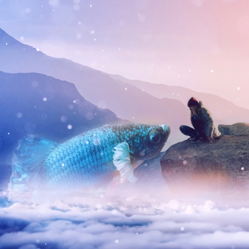 Photoshop Manipulation