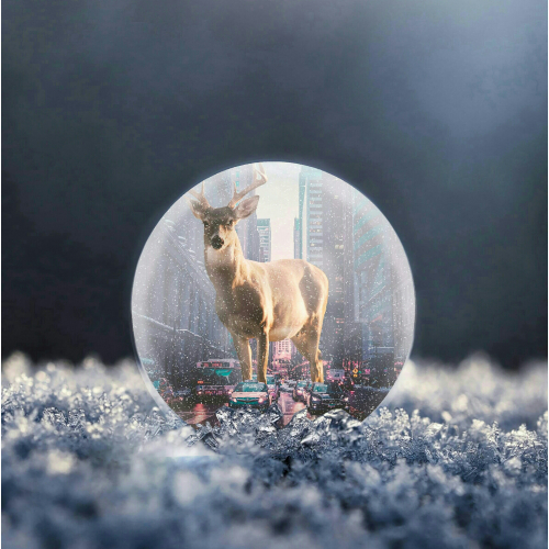 Photoshop Manipulation