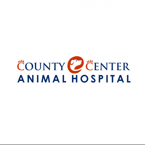 County Center Animal Hospital