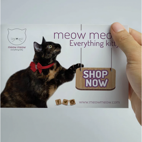 Everything Kitty