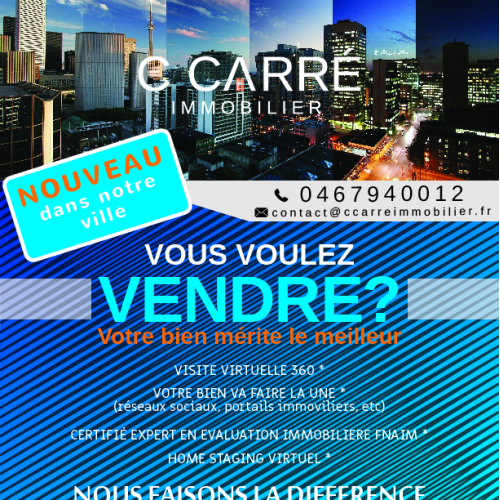 C Carre Immobiler Flyer