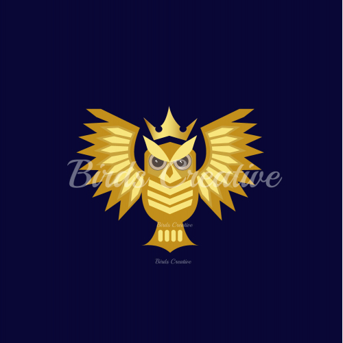 Owl / Bird