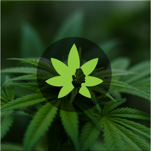 Weed King