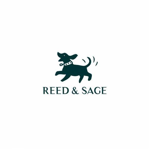 Reed
