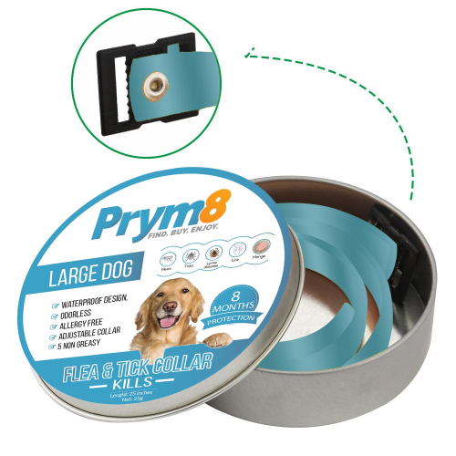 Packaging Design