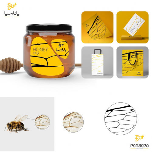 Pancea | Visual Identity