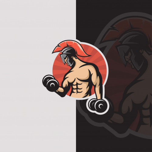 Spartan Gym Muscle Fitness