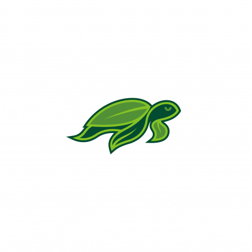 turtle logo