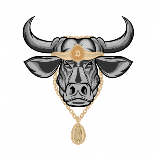 Buul bitcoint