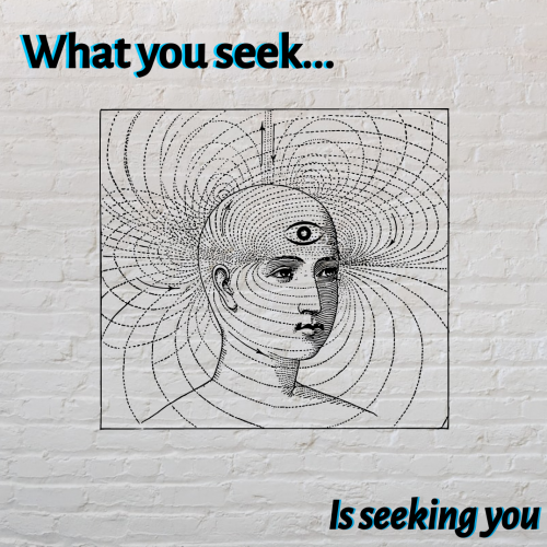 The seeker