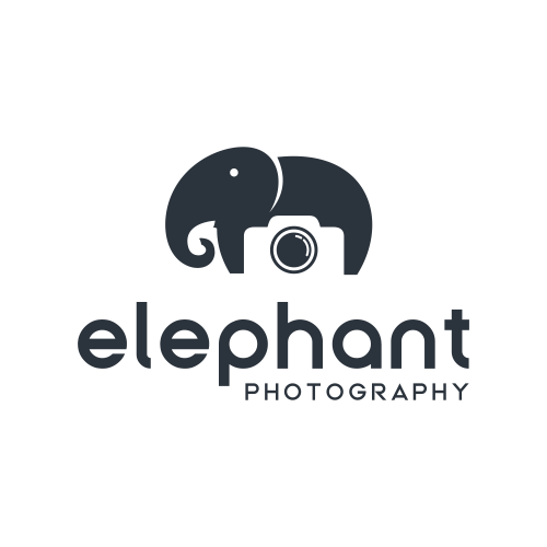 elephant photo graphy