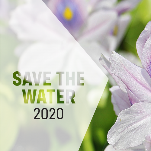 Annual Report Design