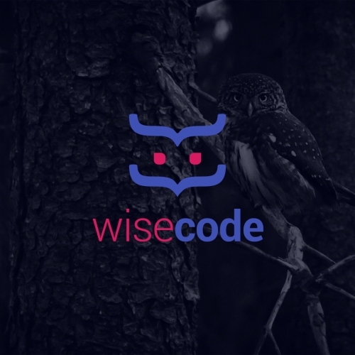 Wise Code Logo Design