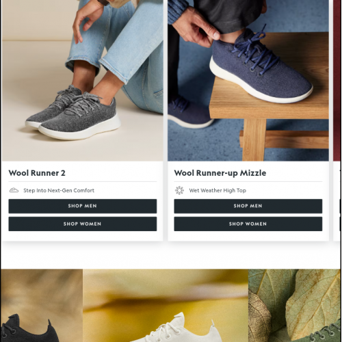 Ecommerce website