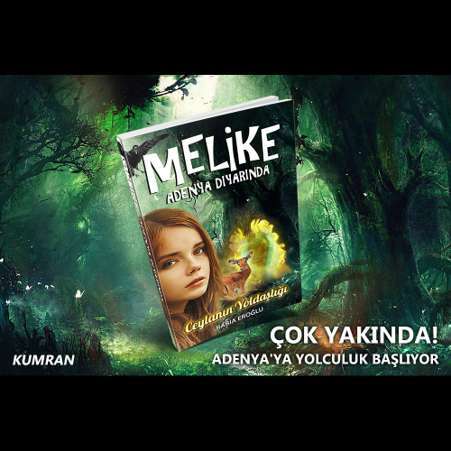 Book Cover Designer soziale Netzwerke usw. Präsentation