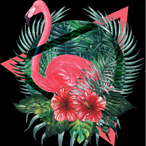 Flamingo I