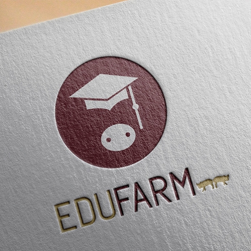 Logo design and branding for 