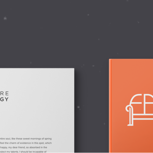 Logo and Brand identity thumb