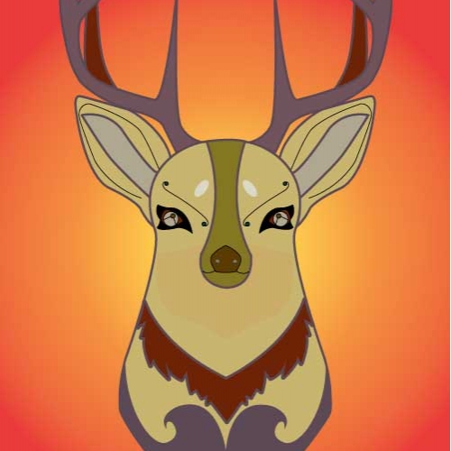Deer Illustration