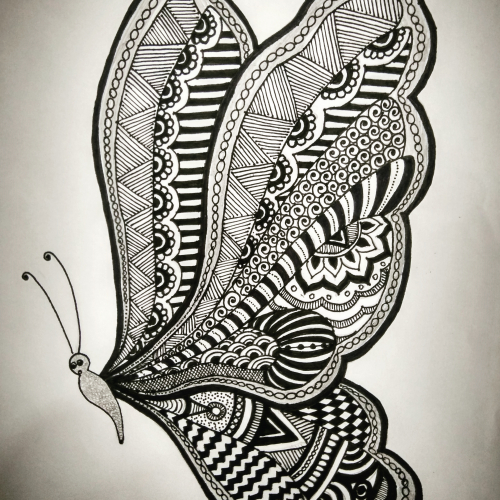 Butterfly