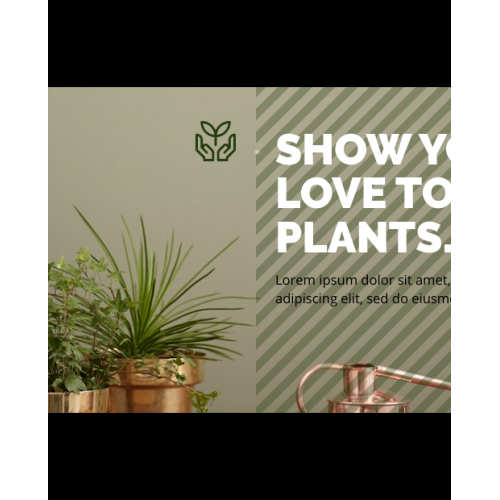 PLANTS SHOPPING