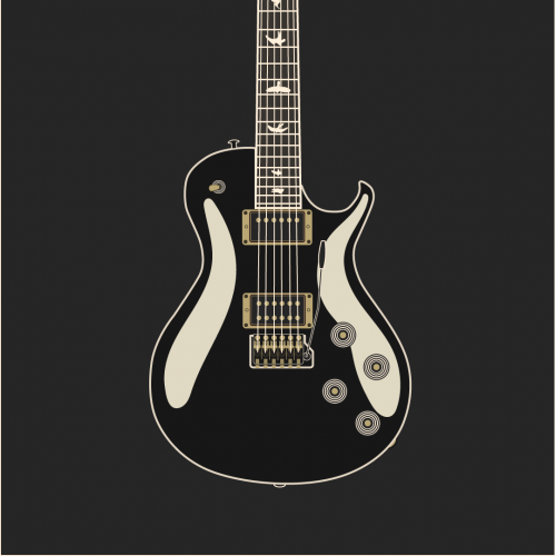 PRS Guitar