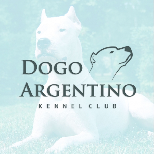 Dogo Argentino