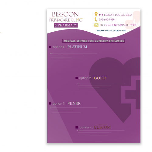 PROFESSIONAL BROCHURE / FLYER