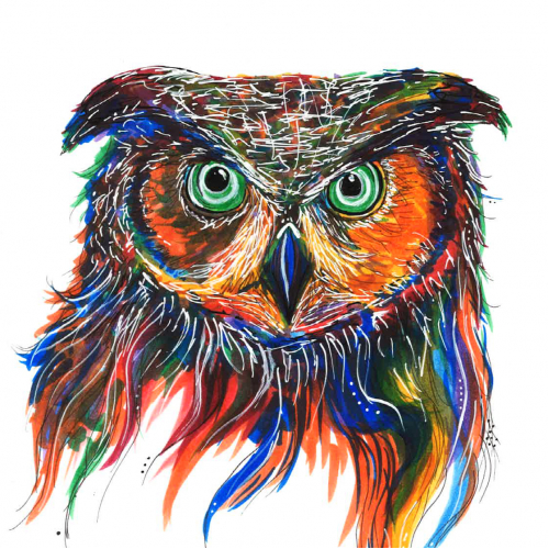 owl