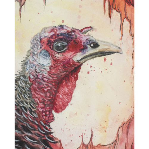 Turkey