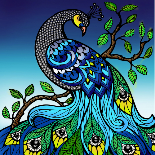 majestic peacock thumb