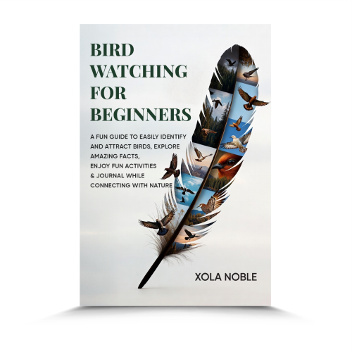 bird watching for beginners