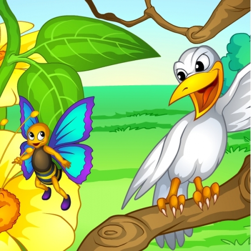Animal Cartoon